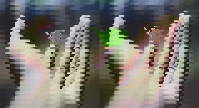 ライフサイエンス